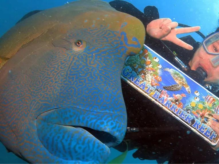 Great Barrier Reef Adventure