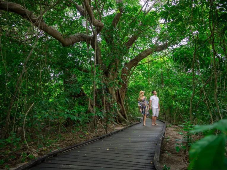 Green Island Discovery Cruise