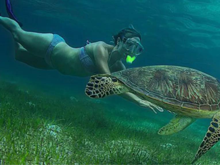 Green Island Eco Adventure