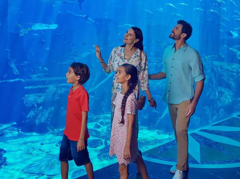 The Lost Chambers Aquarium in Dubai