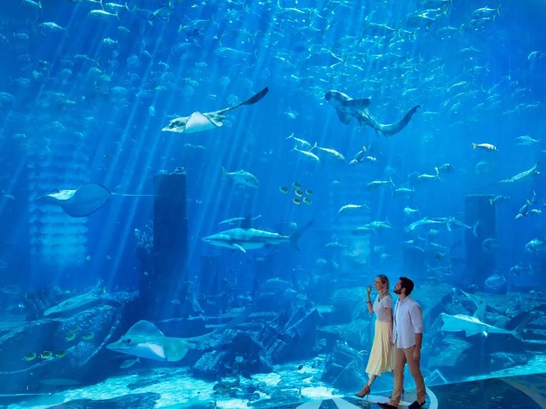 The Lost Chambers Aquarium in Dubai