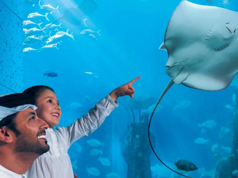 The Lost Chambers Aquarium in Dubai