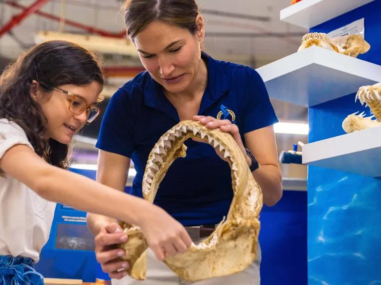 The Lost Chambers Aquarium in Dubai