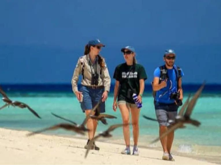 Luxury Ocean Spirit Cruise to Michaelmas Cay