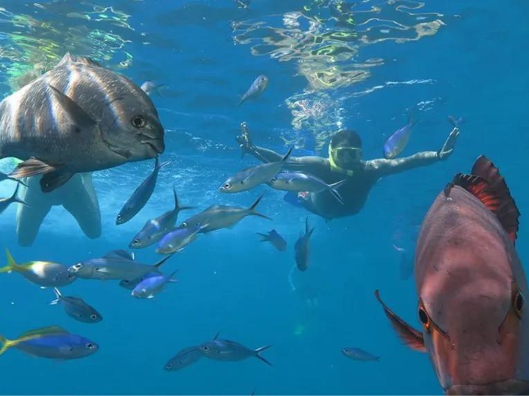 Outer Barrier Reef Adventure