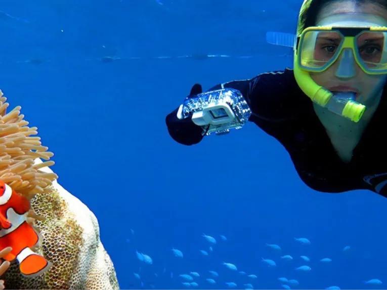 Outer Barrier Reef Adventure