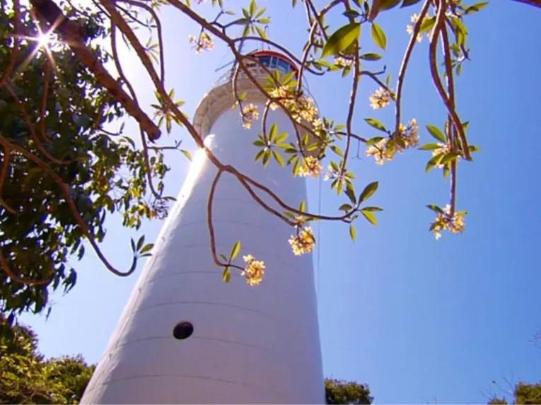 Wavedancer Low Isles Reef Cruise