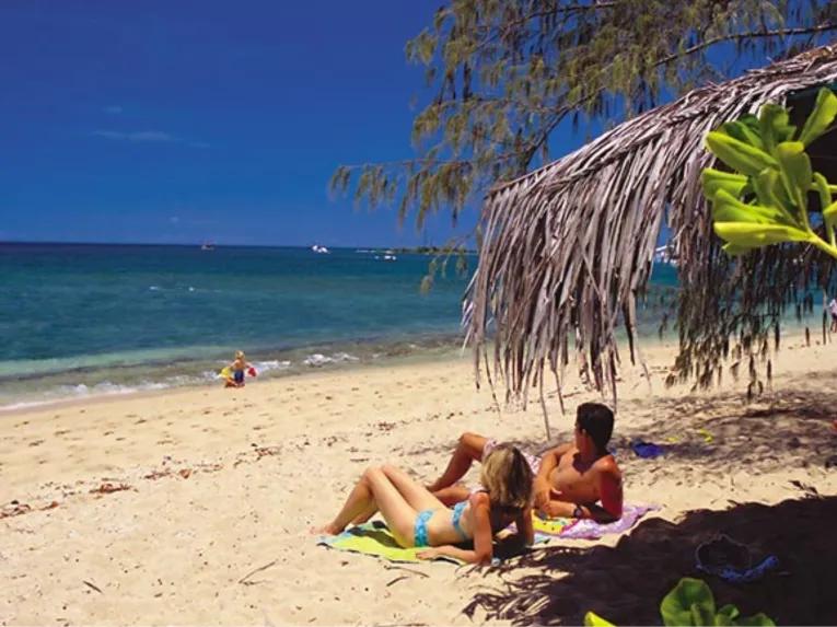 Wavedancer Low Isles Reef Cruise