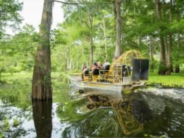 Airboat Swamp Tour from New Orleans