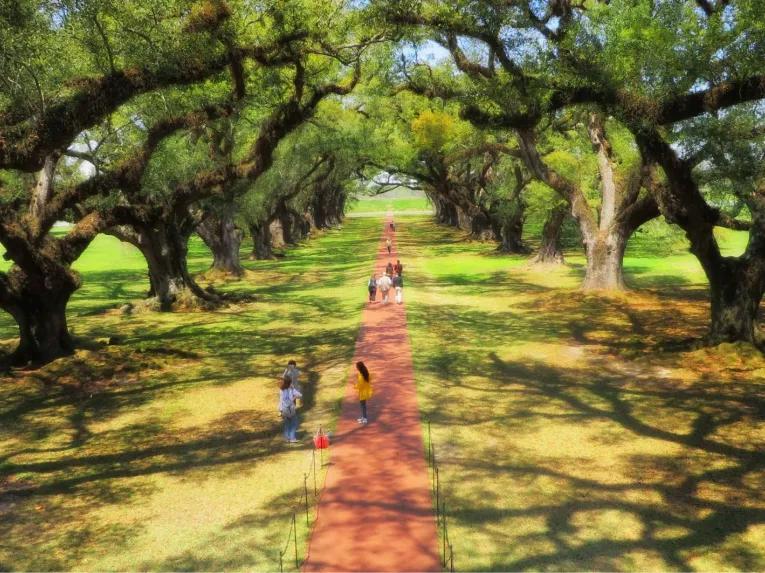 Oak Alley Plantation Tour