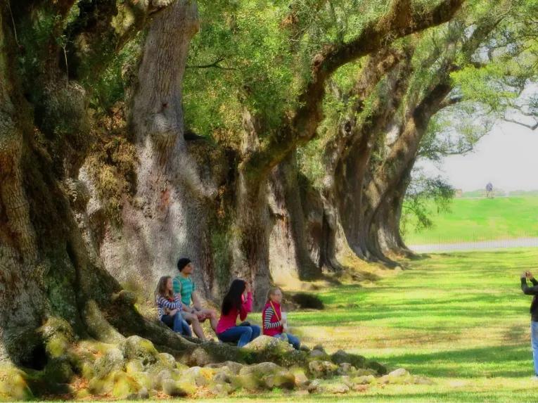 Oak Alley Plantation Tour
