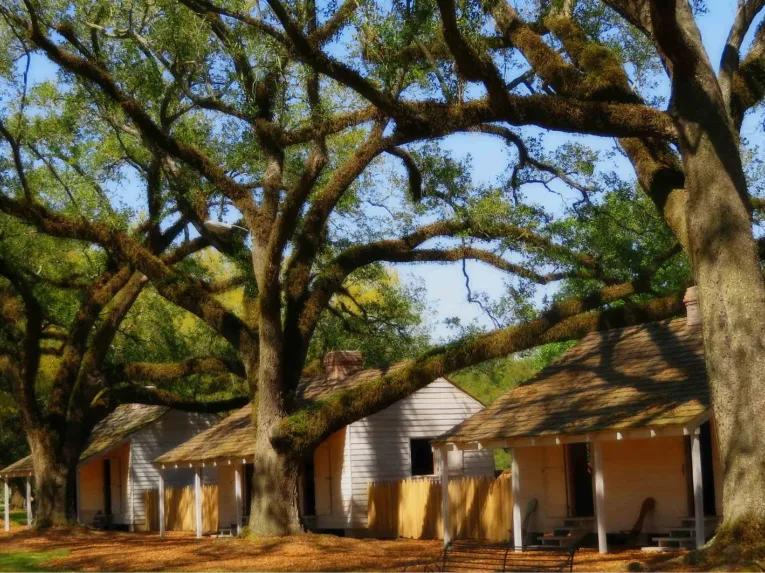 Oak Alley Plantation Tour
