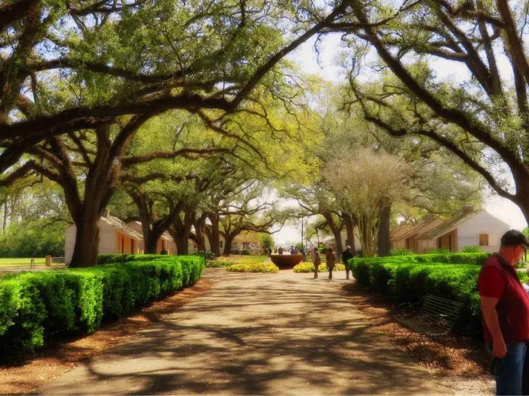 Oak Alley Plantation Tour