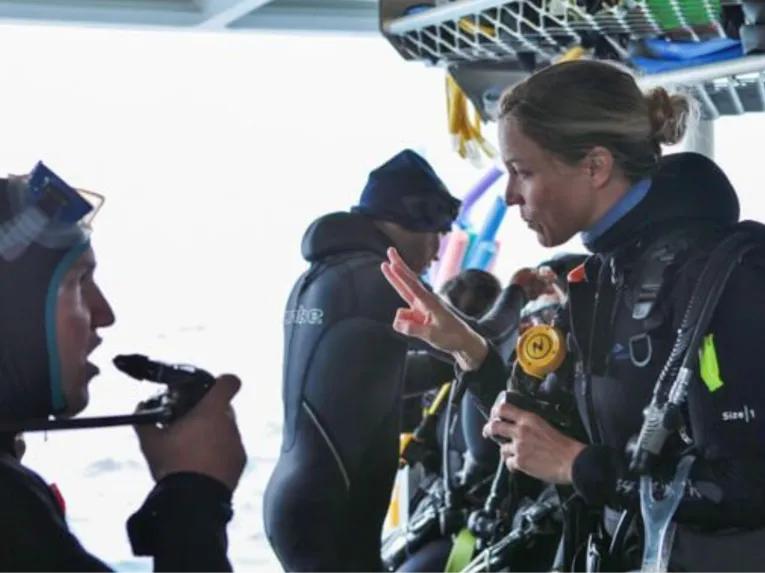 Silversonic Outer Barrier Reef