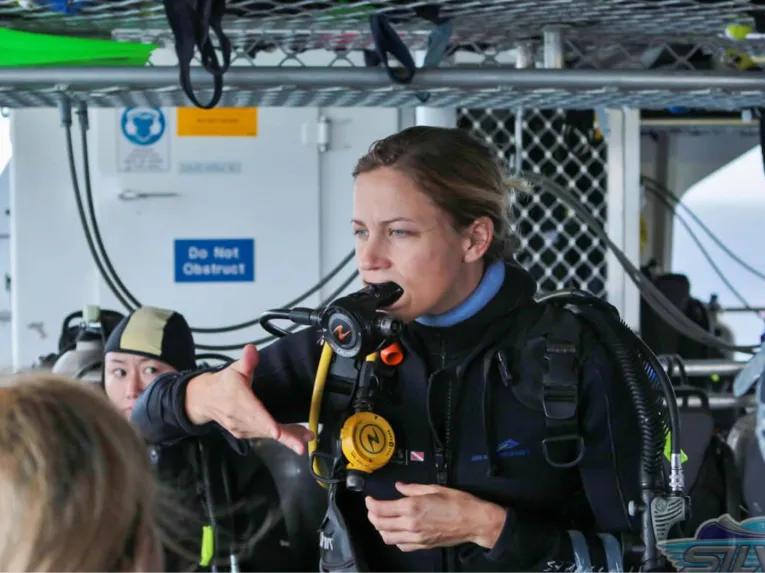Silverswift Outer Barrier Reef 