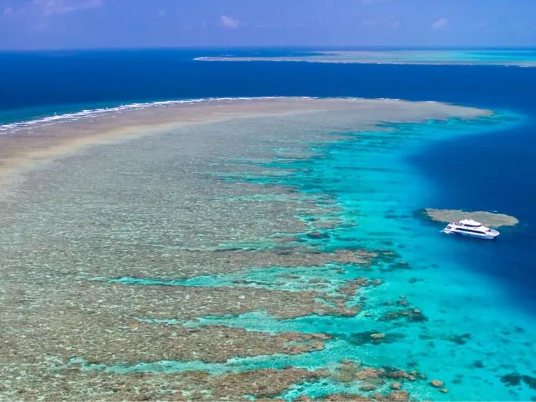 Silverswift Outer Barrier Reef 