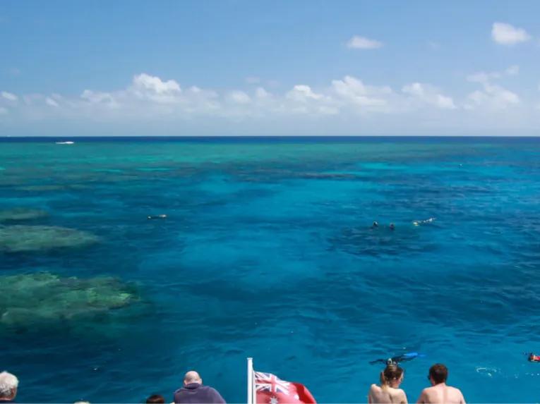 Silverswift Outer Barrier Reef 