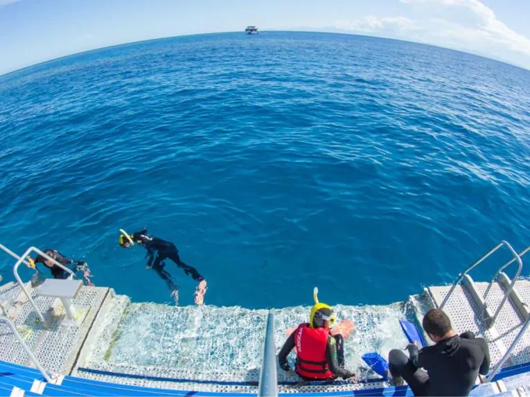Silverswift Outer Barrier Reef 