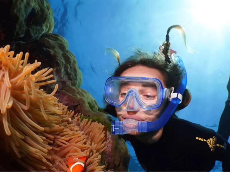 Silverswift Outer Barrier Reef 