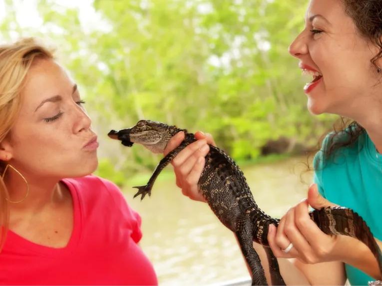 Swamp and Bayou Tour