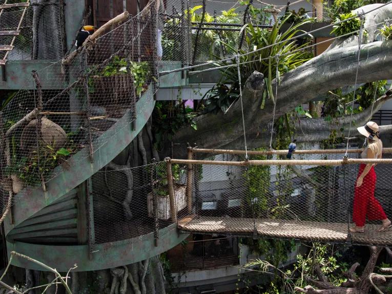 Woman walking amongst the rainforest at The Green Planet™ Dubai
