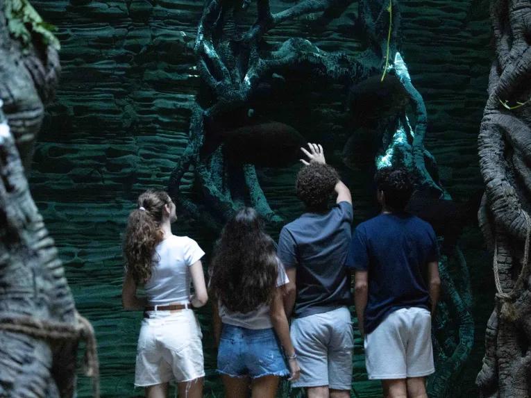 Guests exploring the dark side of the rainforest at The Green Planet™ Dubai
