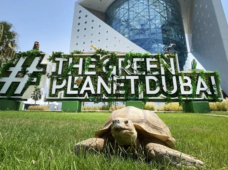 The Green Planet™ Dubai exterior 