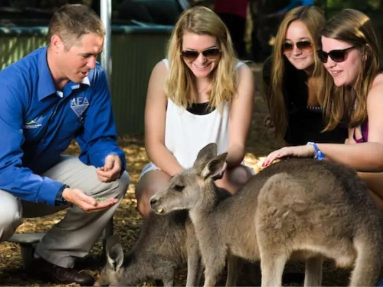 Blue Mountains Deluxe Day Tour