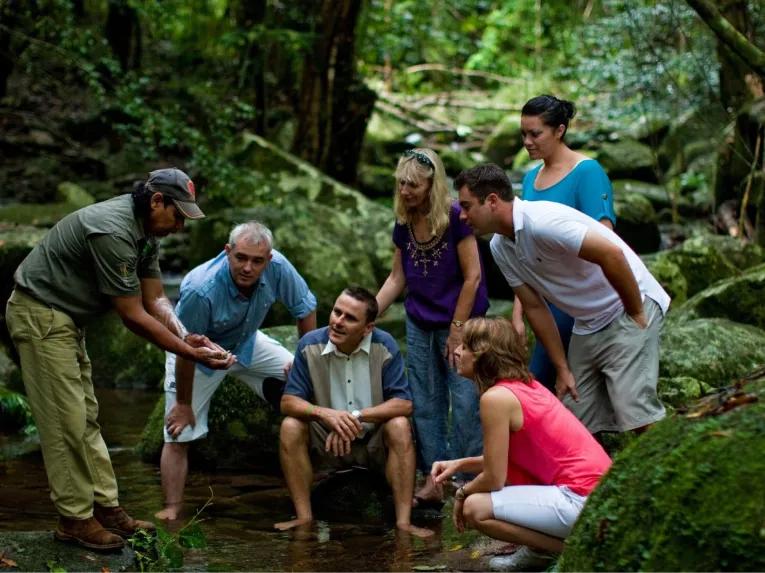 Cape Tribulation & Daintree Adventure