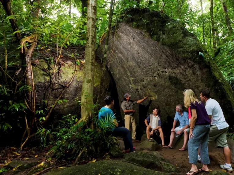 Cape Tribulation & Daintree Adventure