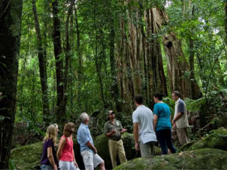 Cape Tribulation & Daintree Adventure