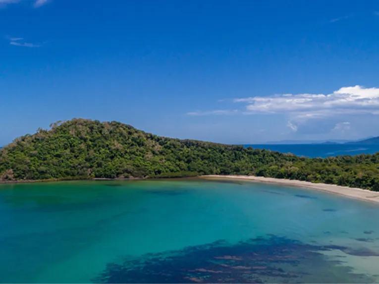 Cape Tribulation & Daintree Adventure from Port Douglas