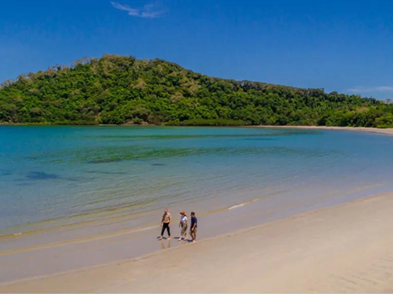 Cape Tribulation & Daintree Adventure from Port Douglas