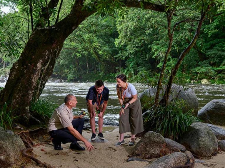 Cape Tribulation & Daintree Adventure from Port Douglas