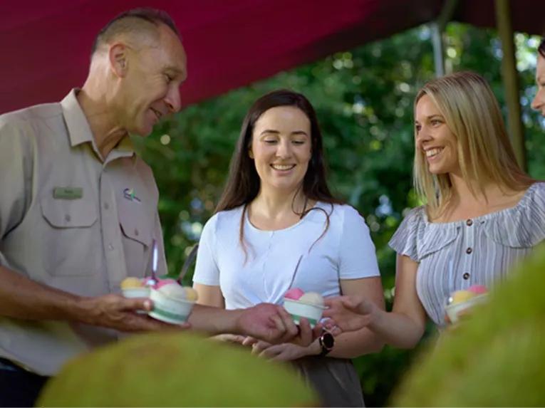 Cape Tribulation & Daintree Adventure from Port Douglas