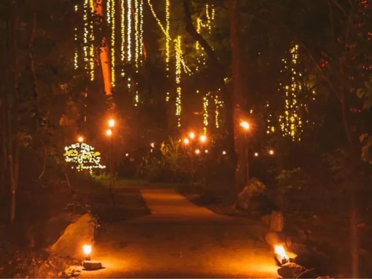 Flames of the Forest - Aboriginal Cultural Experience