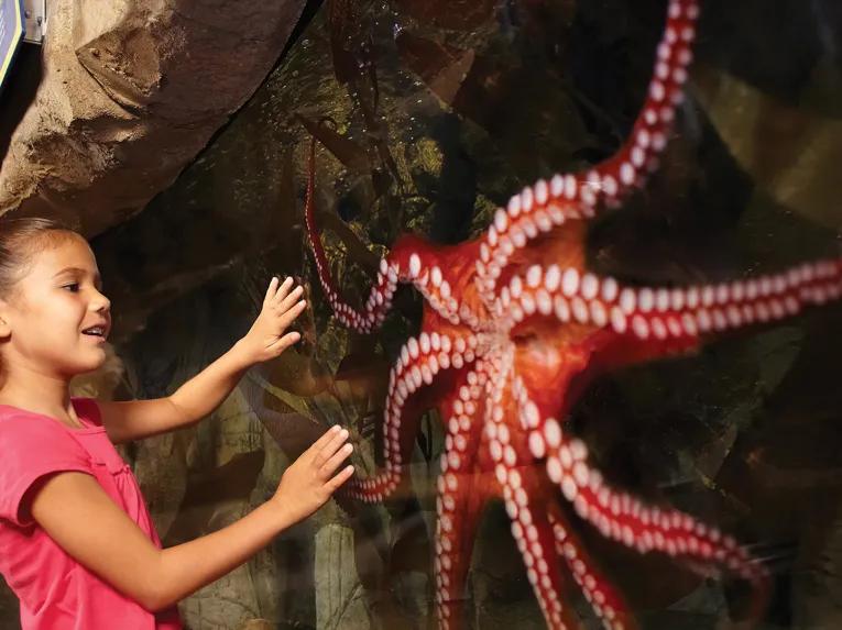Girl with Octopus at SEA LIFE Aquarium in California