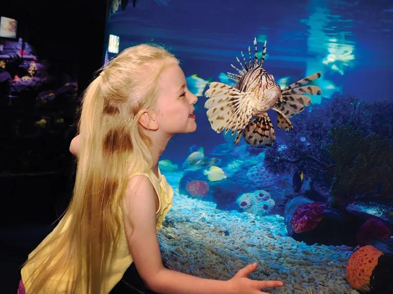 Girl with in front of aquarium at SEA LIFE Aquarium in California