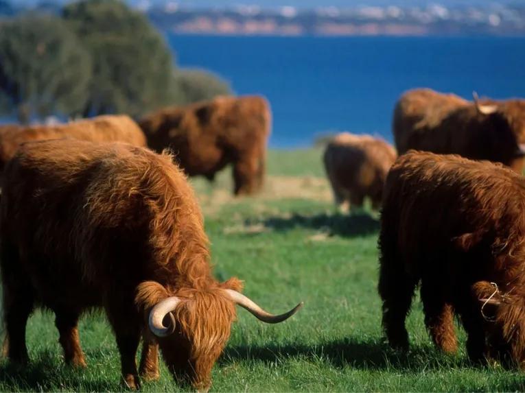 Melbourne Unlimited Attraction Pass