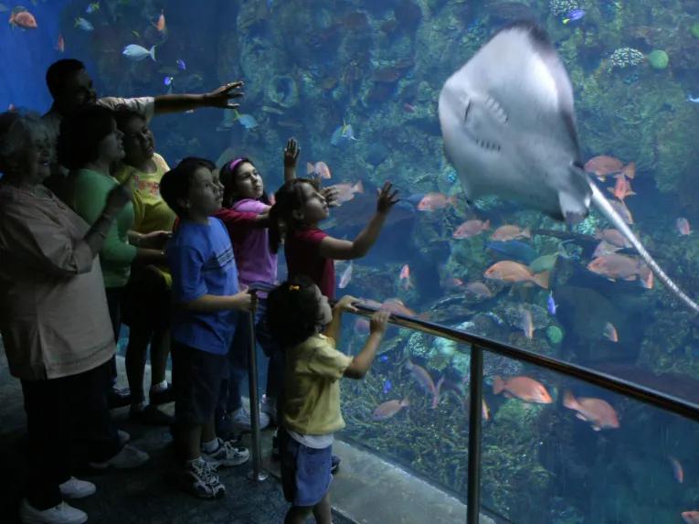 Aquarium of Pacific in Los Angeles