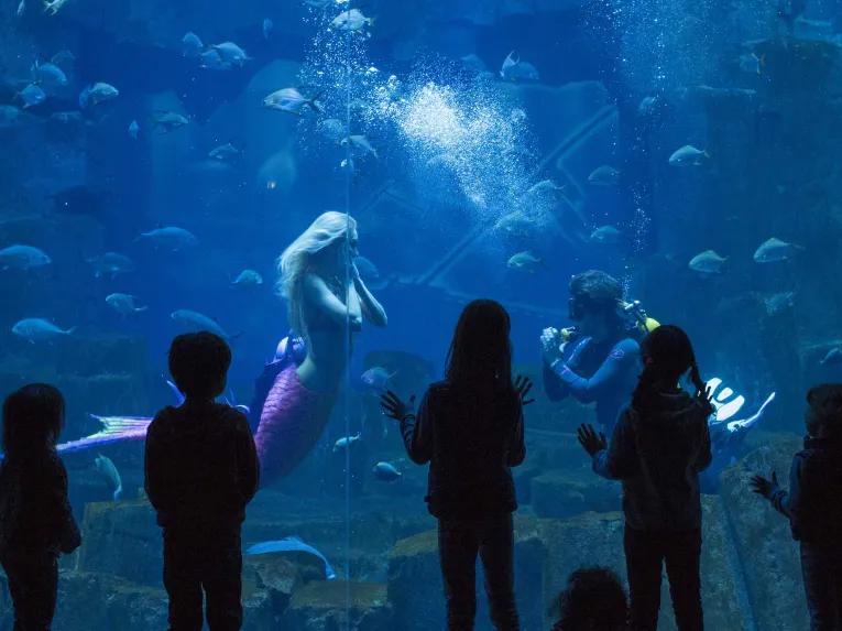 Paris All-Inclusive Pass