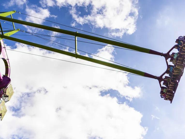 Guests riding Serengeti flyer at Busch Gardens Tampa Bay