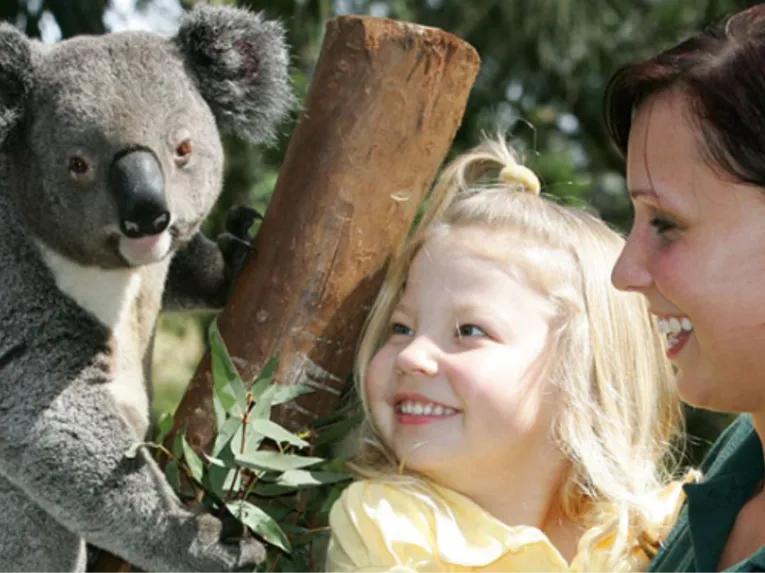 Sydney Unlimited Attraction Pass