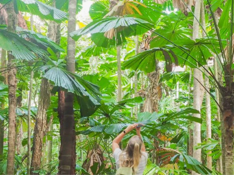 Cape Tribulation and Daintree Wilderness from Port Douglas