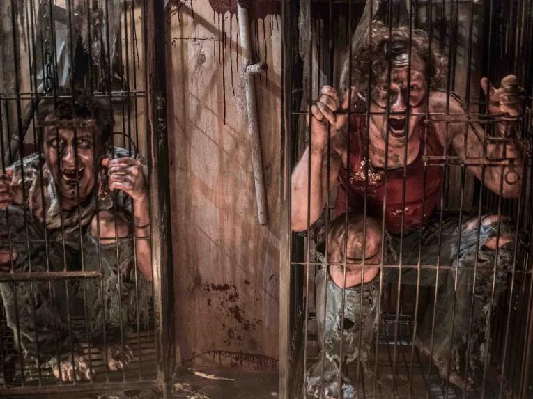 Howl-O-Scream at Busch Gardens Tampa Bay