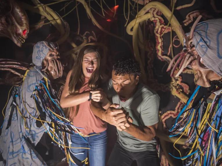 Howl-O-Scream at Busch Gardens Tampa Bay