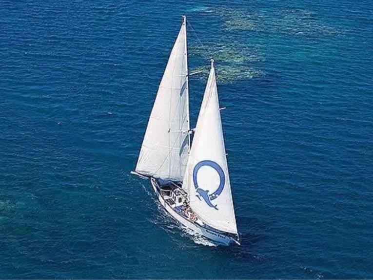 Ocean Free Sail to Green Island & Great Barrier Reef