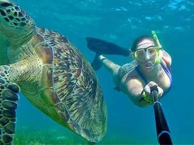 Ocean Free Sail to Green Island & Great Barrier Reef