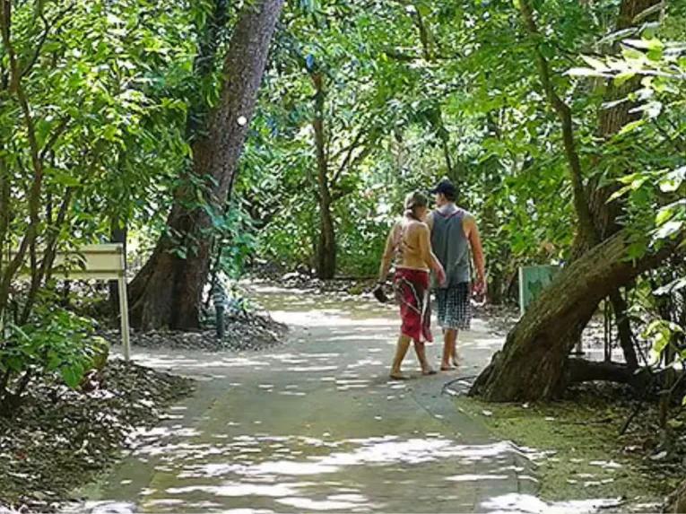 Ocean Free Sail to Green Island & Great Barrier Reef