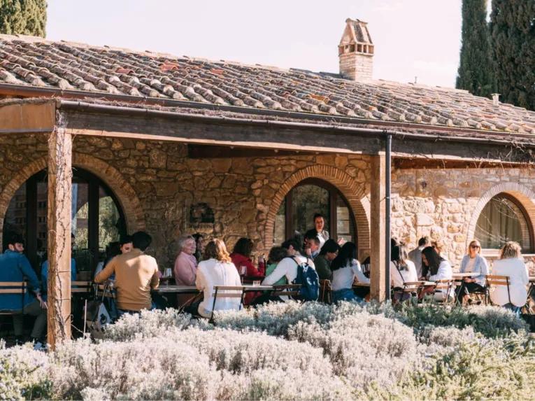 Chianti Tour: Wine Experience in Chianti Hills & Radda in Chianti from Florence